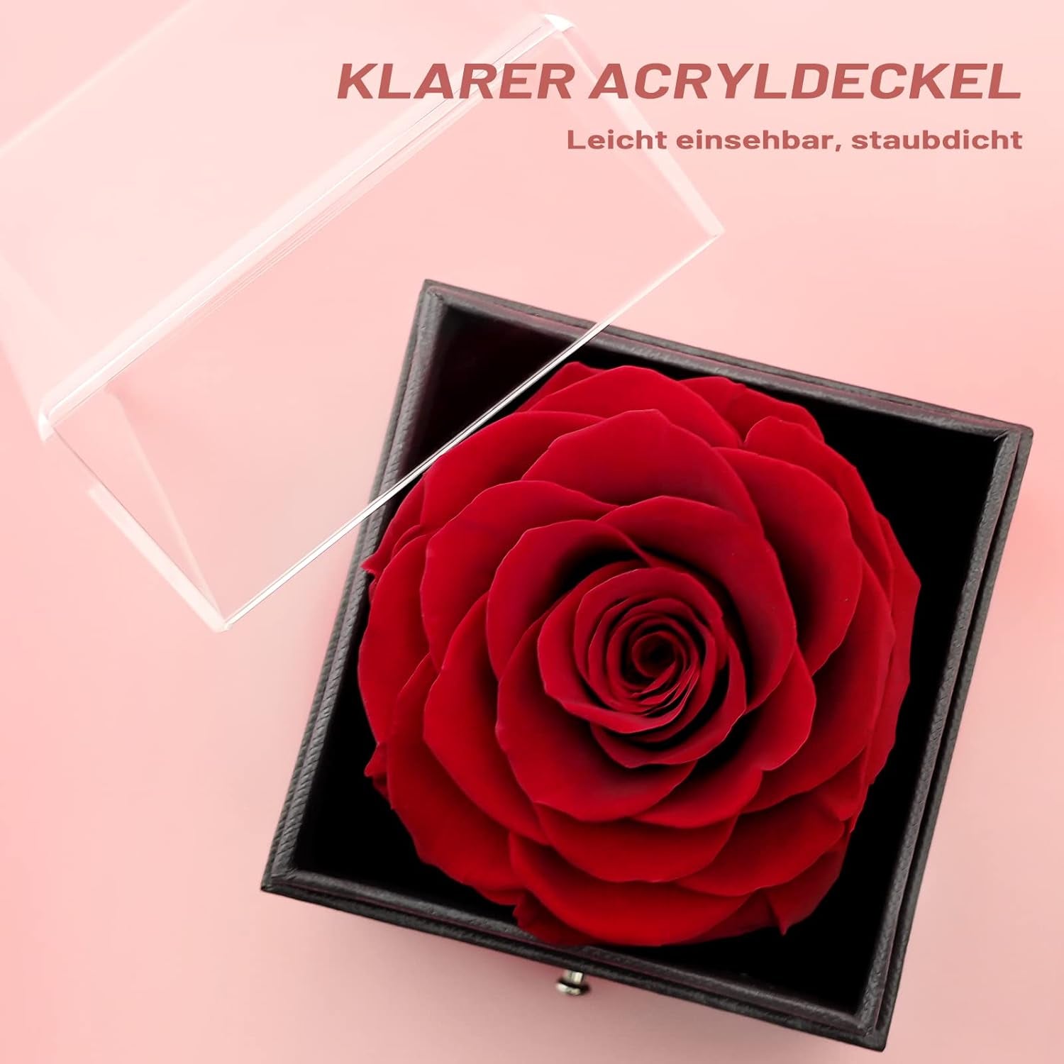 Preserved Real Rose Handmade Eternal Rose with Love You Necklace 100 Languages Gifts for Valentines Day Anniversary Wedding Romantic Gifts for Her